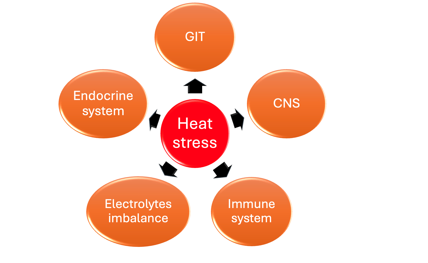 Heat Stress and Poultry Welfare: Can We Solve the Problem? - UTRIX S.A.L